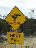 Watch for Mallee fowl